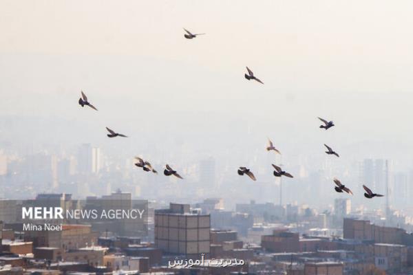 مدارس تبریز و اسکو در روز سه شنبه غیرحضوری شد