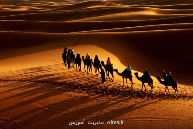 اسارت خاندان خاندان (ع)پس از واقعه عاشورا